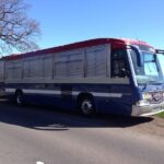 Party Limousine Hire